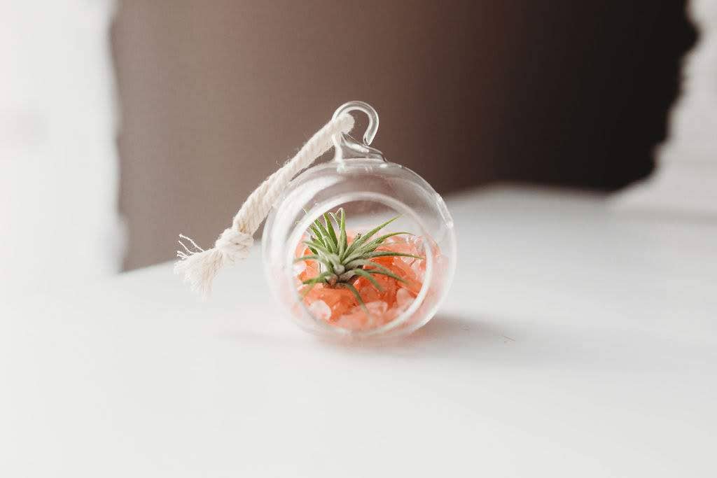 Mini Orb Air Plant Terrarium Kit - Semi-Precious Stone