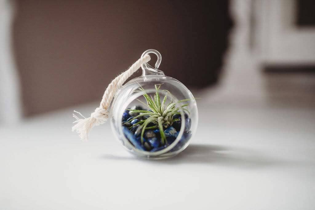 Mini Orb Air Plant Terrarium Kit - Semi-Precious Stone