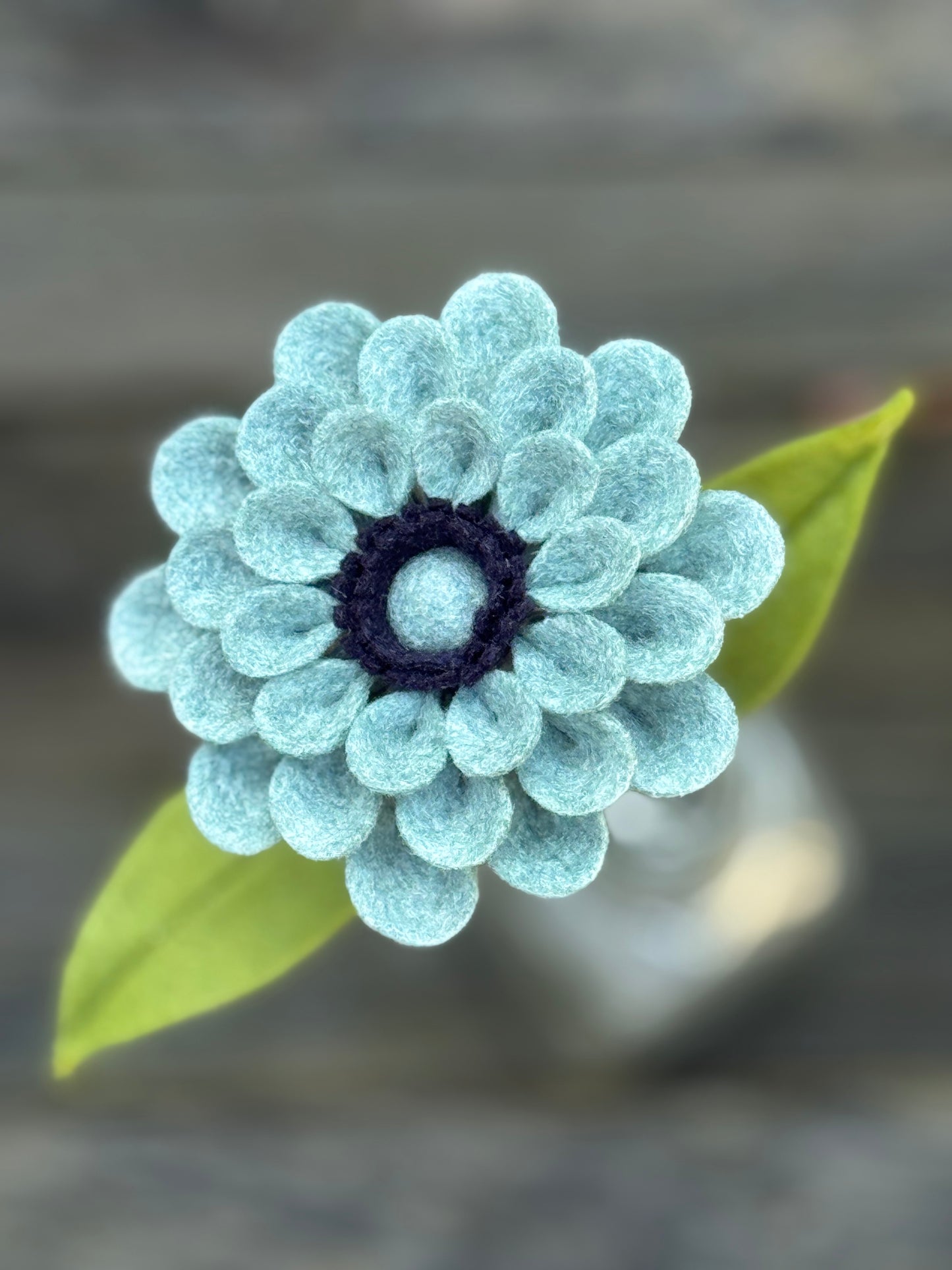 Zinnia Stem