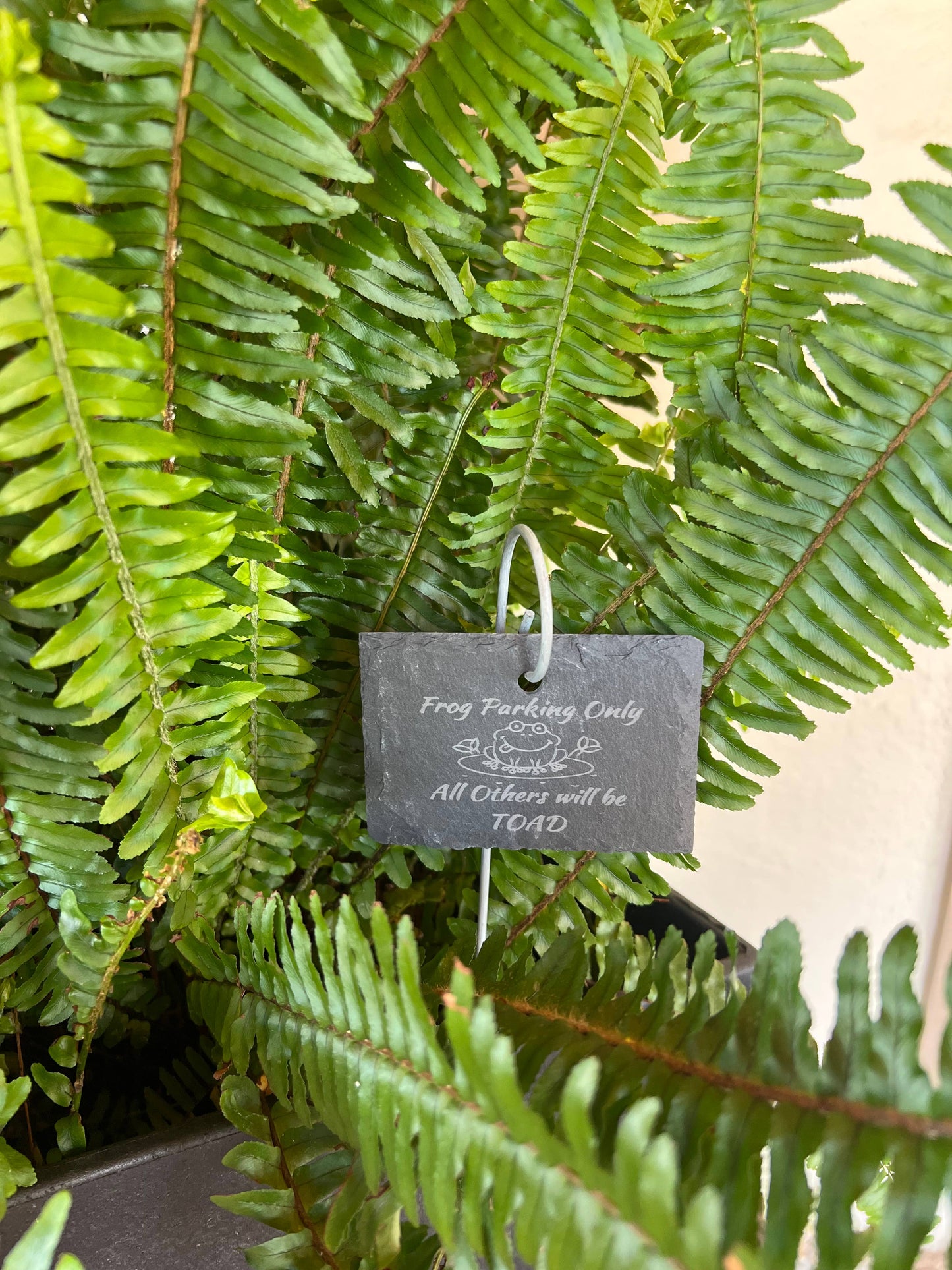 Frog Parking Slate Plant Marker