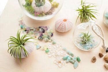 Mini Orb Air Plant Terrarium Kit - Semi-Precious Stone