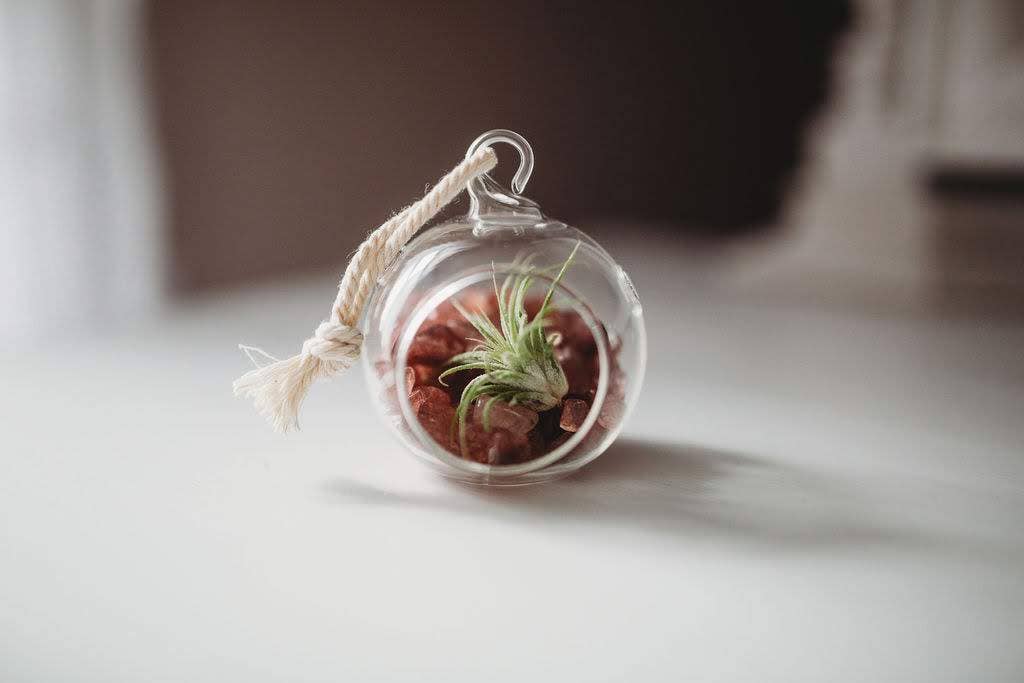 Mini Orb Air Plant Terrarium Kit - Semi-Precious Stone