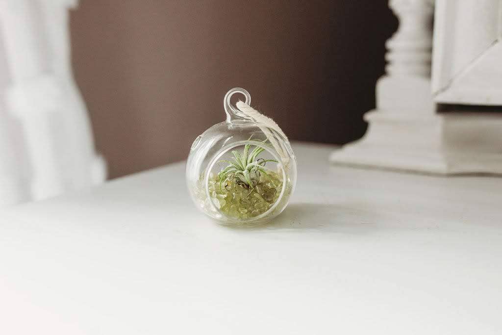 Mini Orb Air Plant Terrarium Kit - Semi-Precious Stone