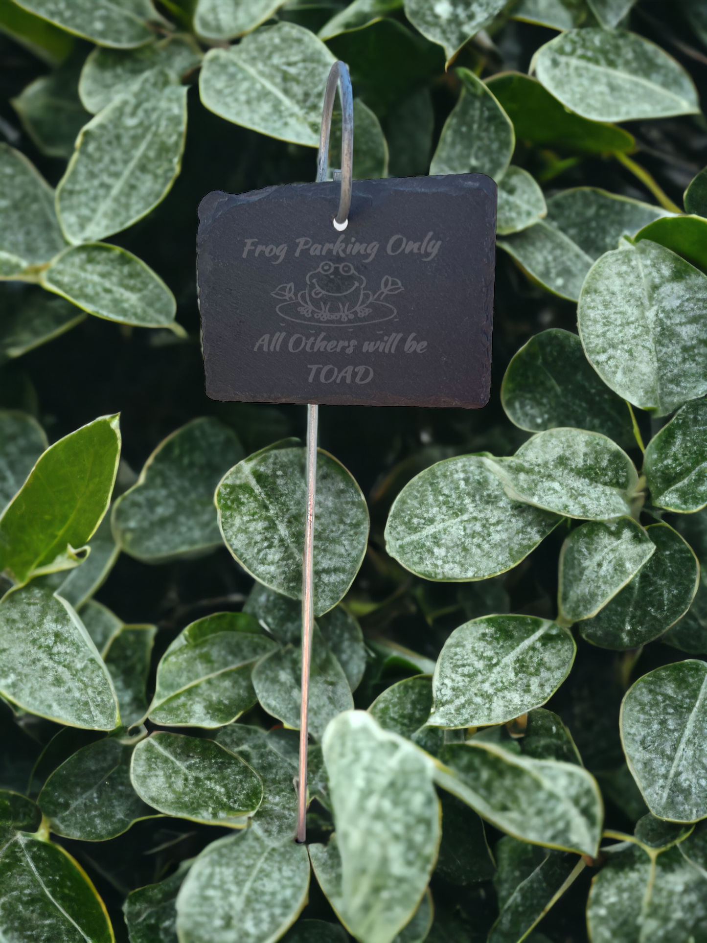 Frog Parking Slate Plant Marker