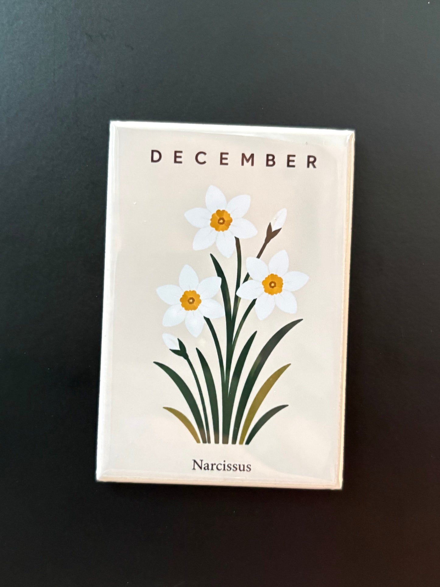December - 2”x3” Magnet