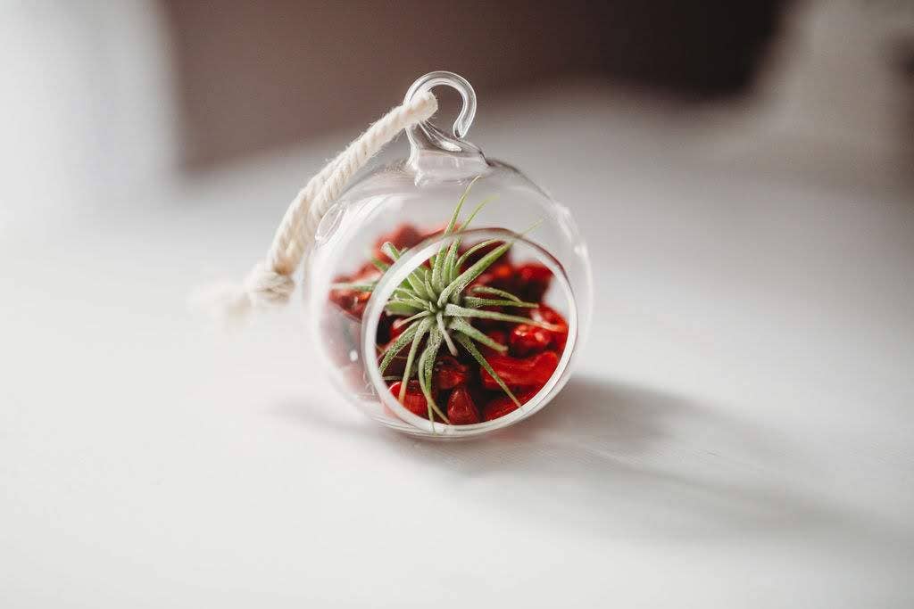 Mini Orb Air Plant Terrarium Kit - Semi-Precious Stone