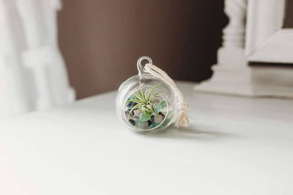 Mini Orb Air Plant Terrarium Kit - Semi-Precious Stone