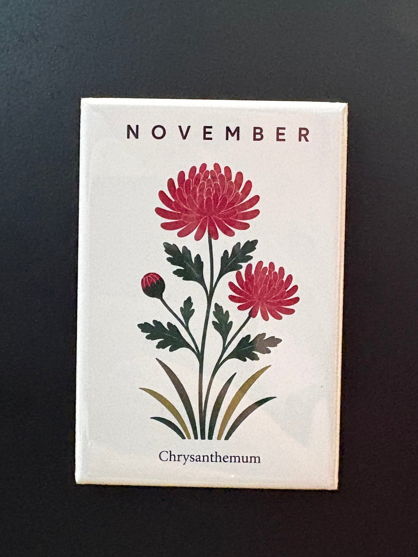 November - 2”x3” Magnet