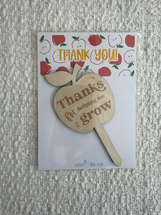 Thanks Teacher Plant Stake