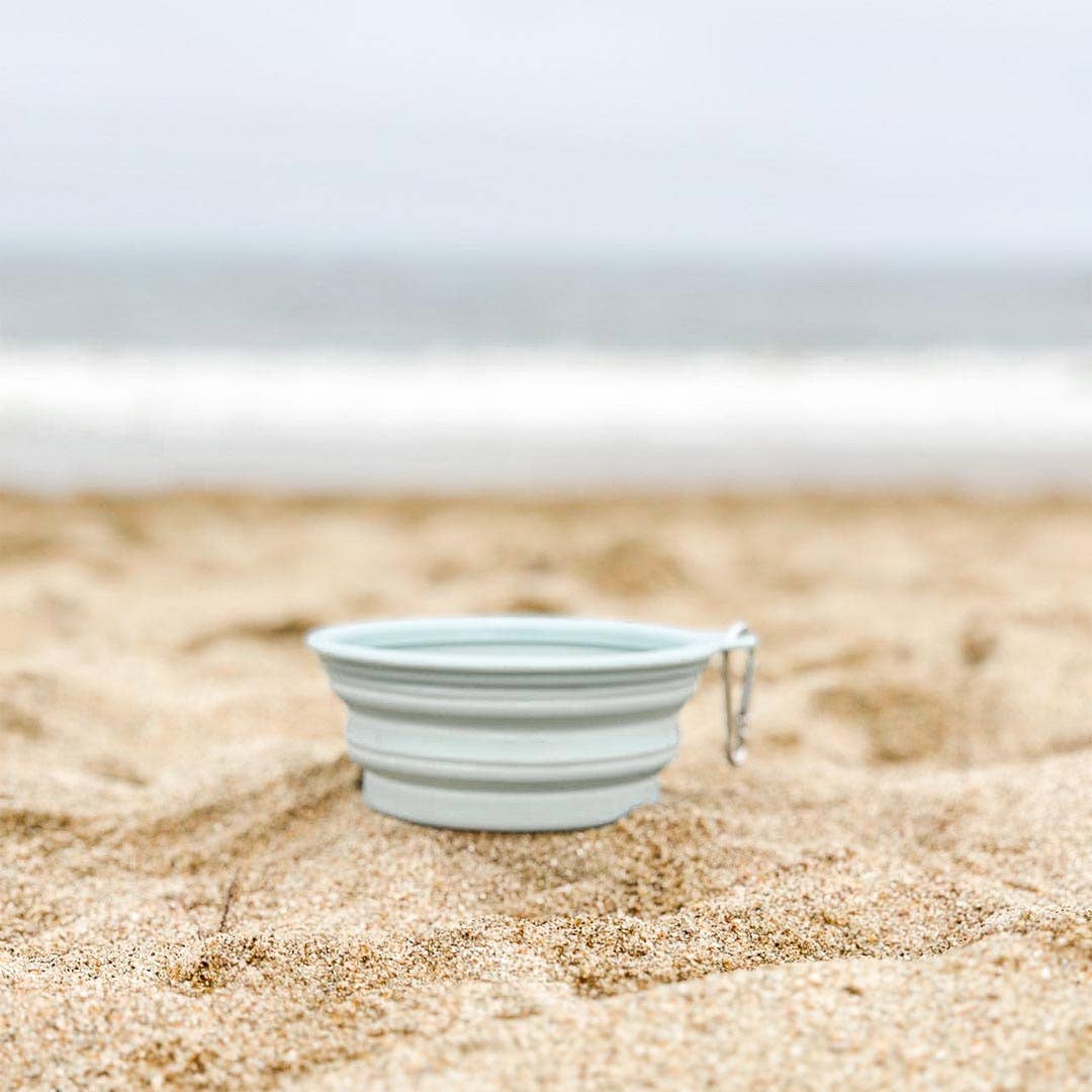 Collapsible Water Bowl