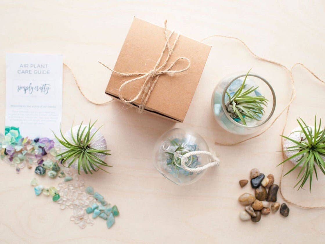 Mini Orb Air Plant Terrarium Kit - Semi-Precious Stone