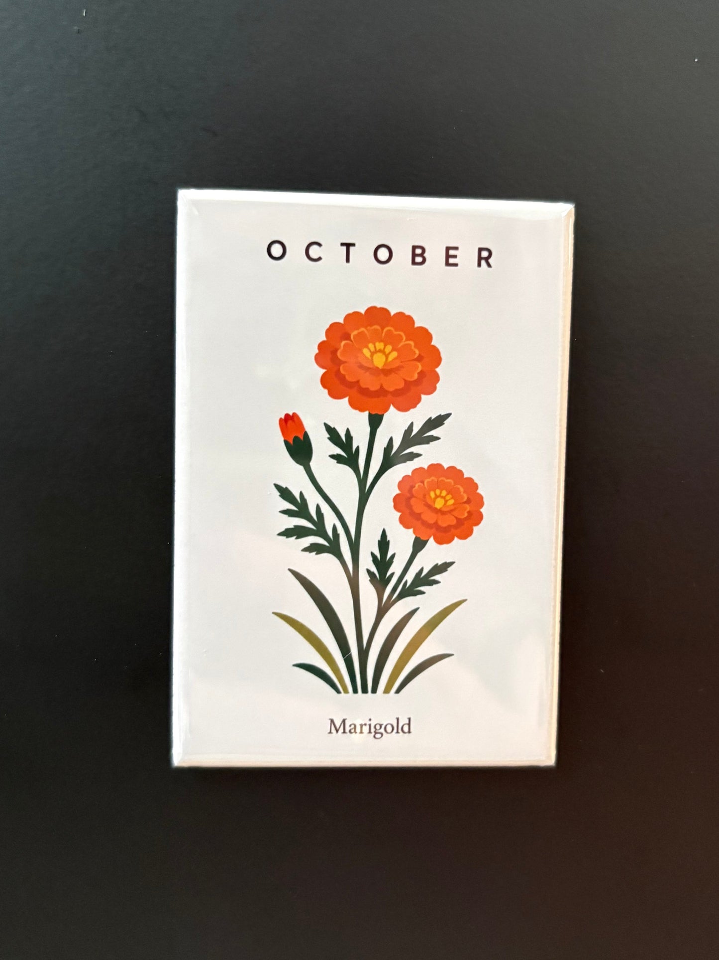 October - 2”x3” Magnet