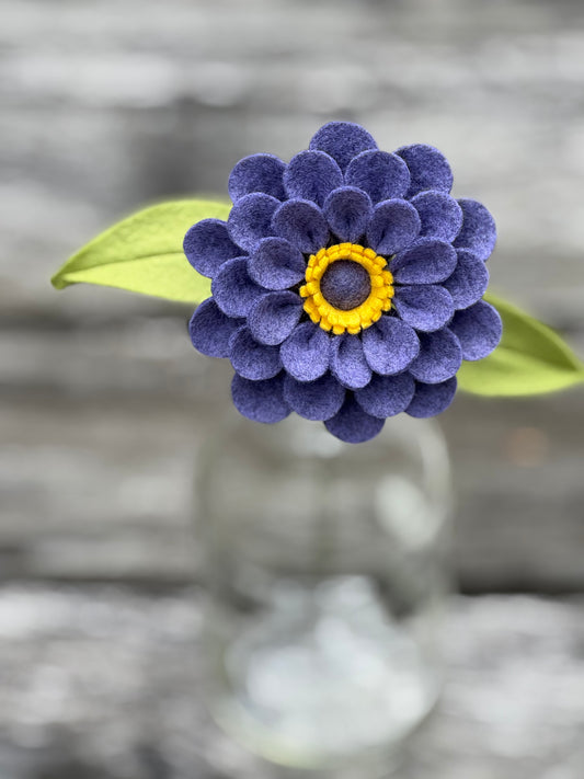 Zinnia Stem