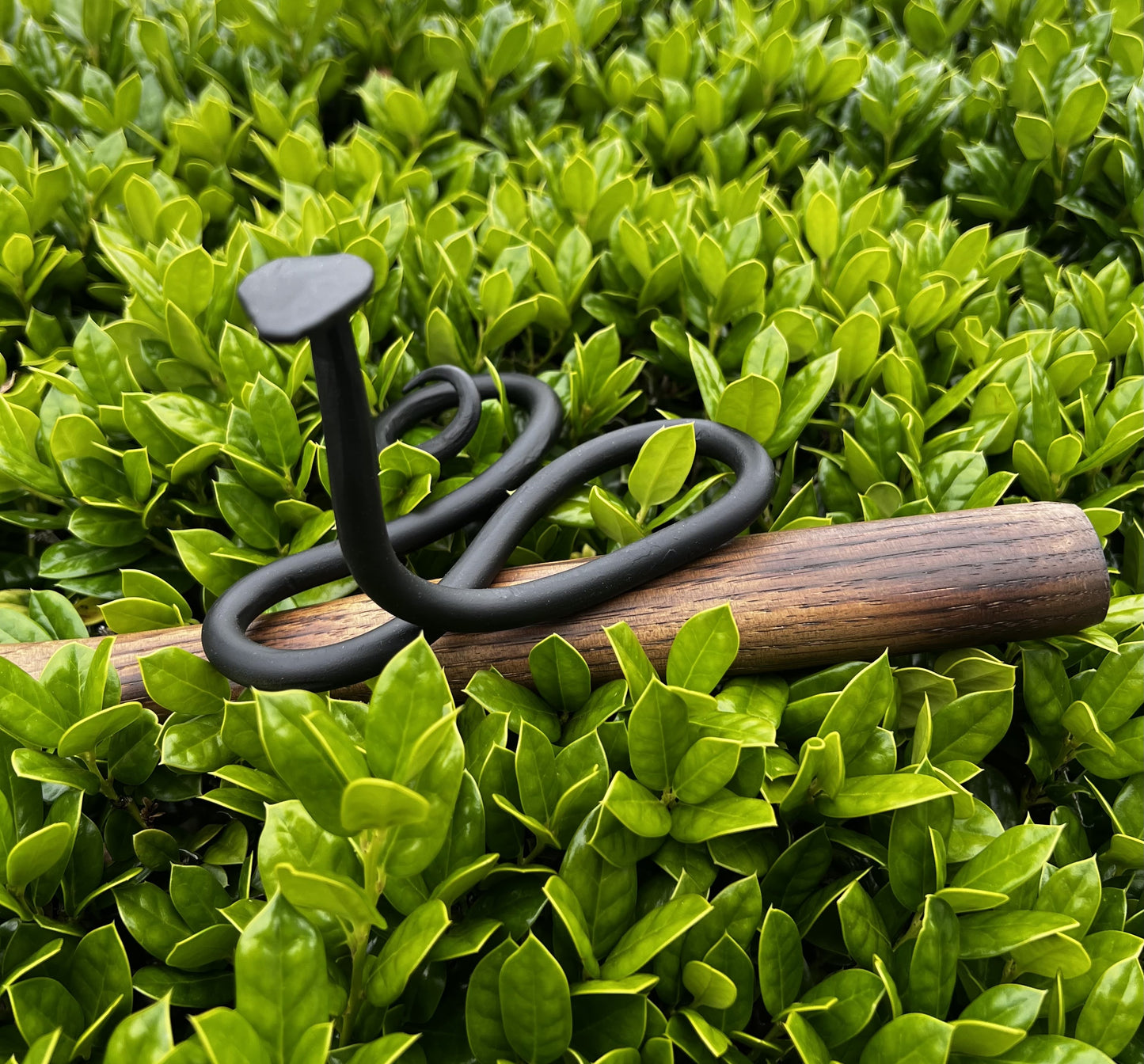 Forged Garden Snake