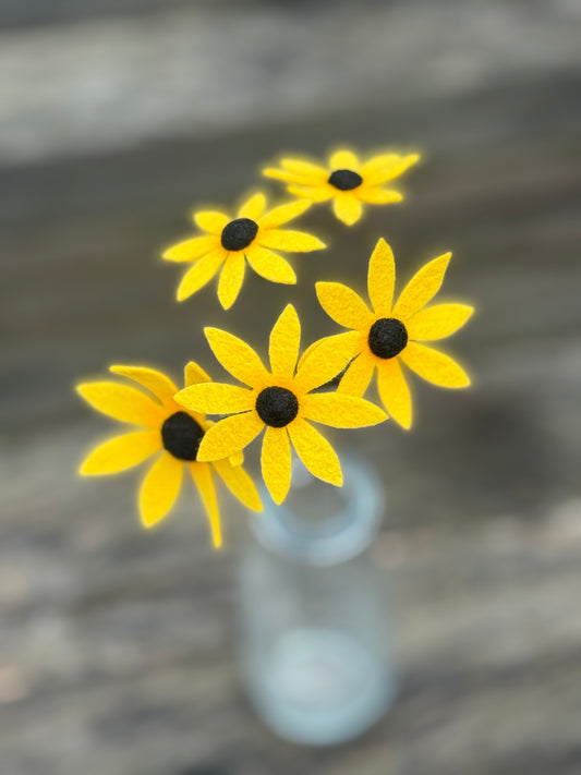 Black-Eyed Susan Stem