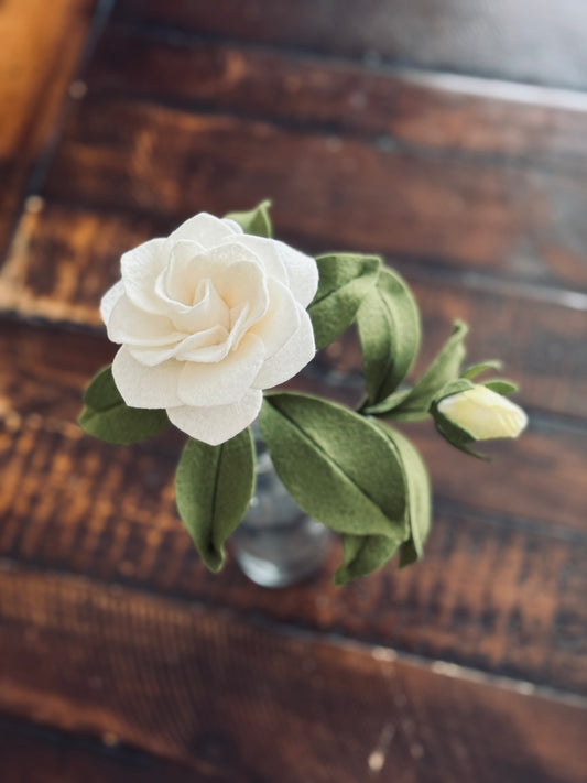 Gardenia Stem
