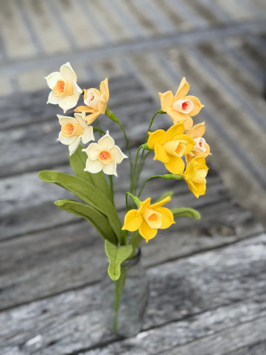 Daffodil Stem