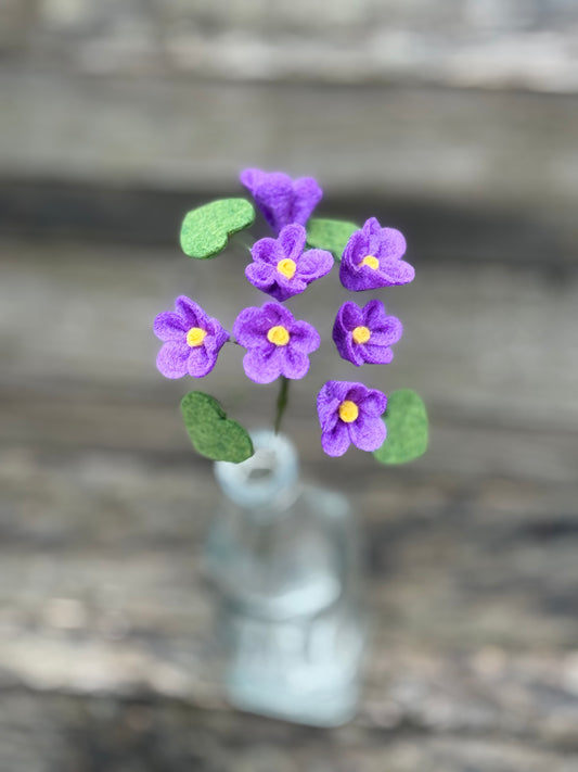 Violet Stem