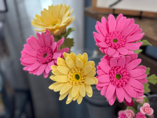 Gerbera Daisy