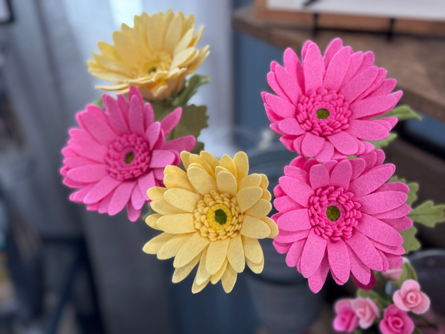 Gerbera Daisy