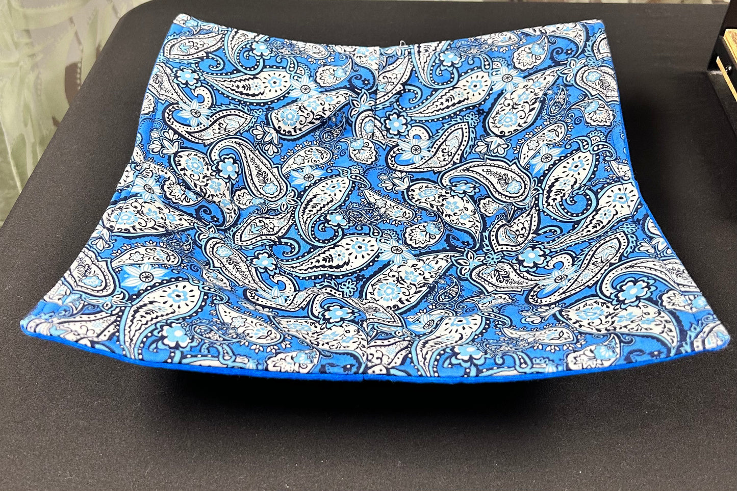Paisley Print plate koozie