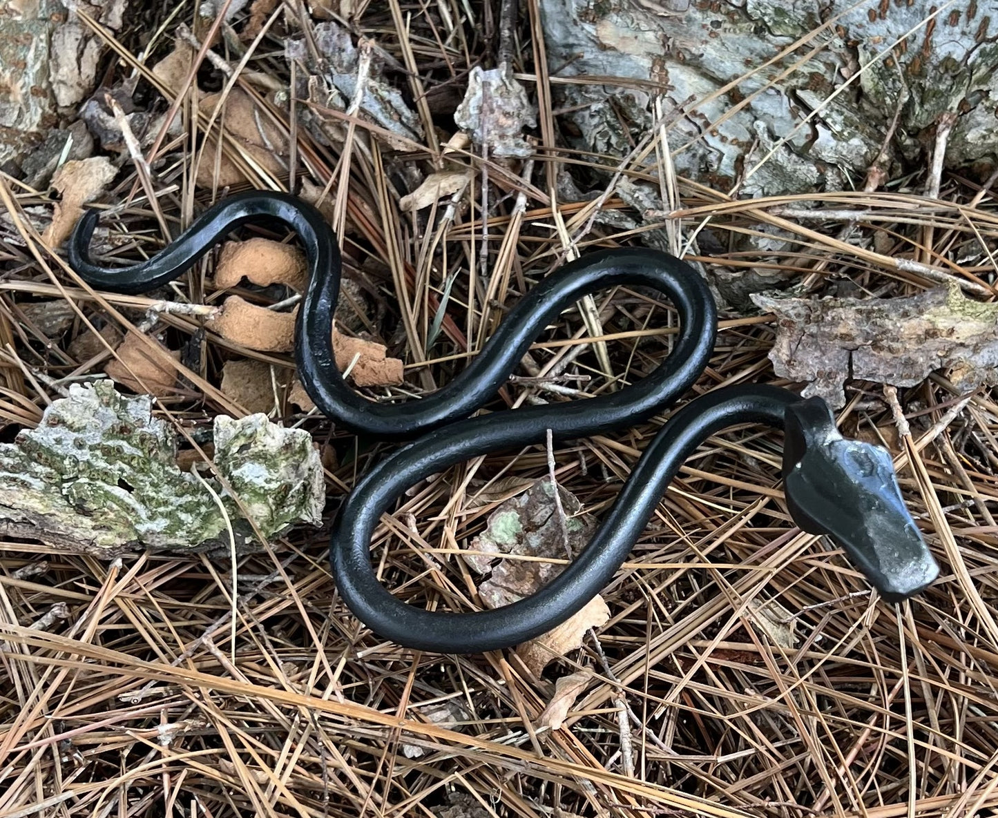 Forged Garden Snake