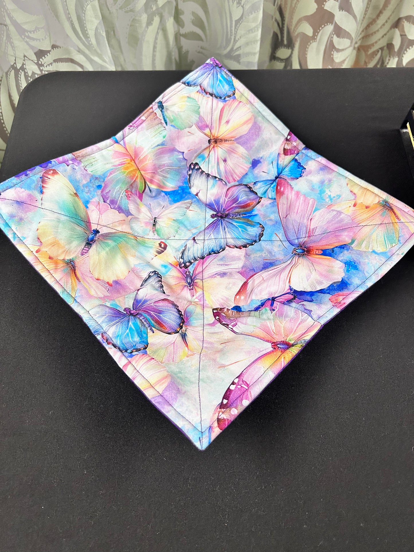 Watercolor butterfly plate koozie