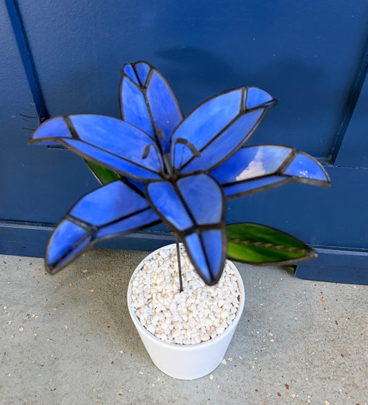 Blue 3D lily in pot