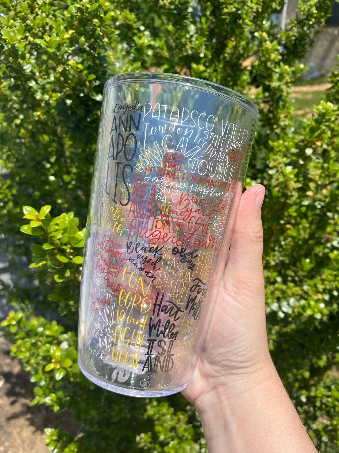 Tervis Cup