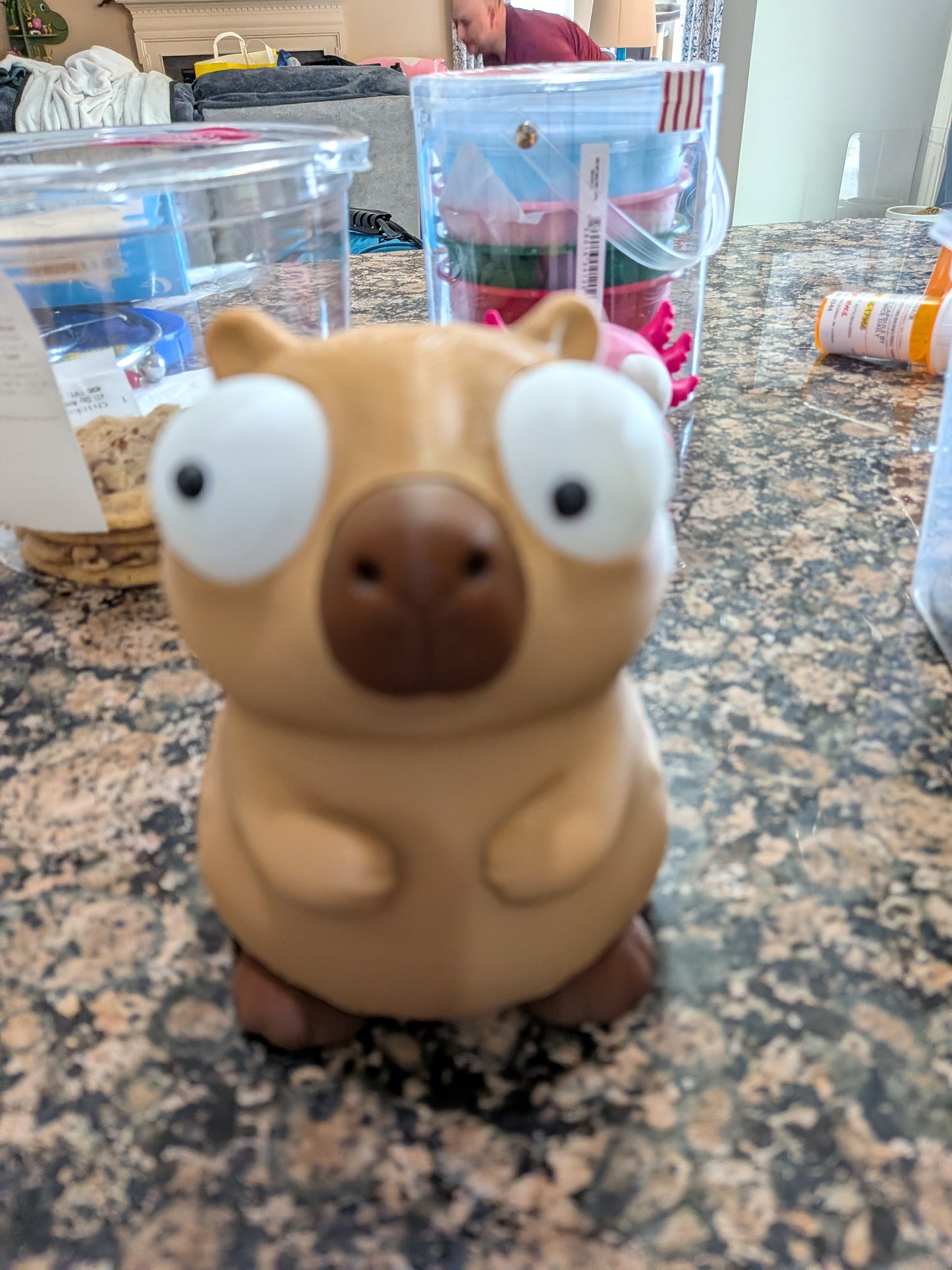 Goofy capybara