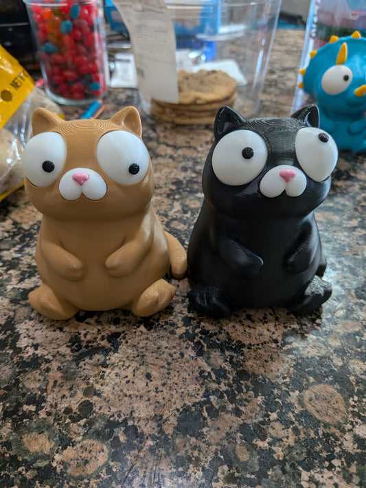 Goofy eye cat