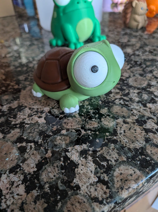 Goofy eye turtle