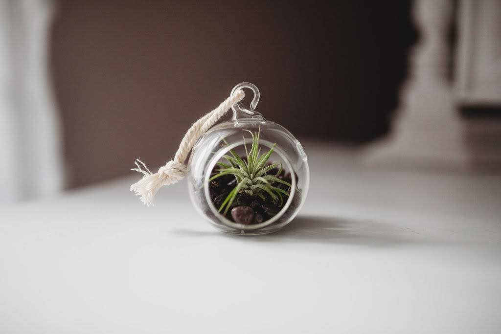 Mini Orb Air Plant Terrarium Kit - Semi-Precious Stone