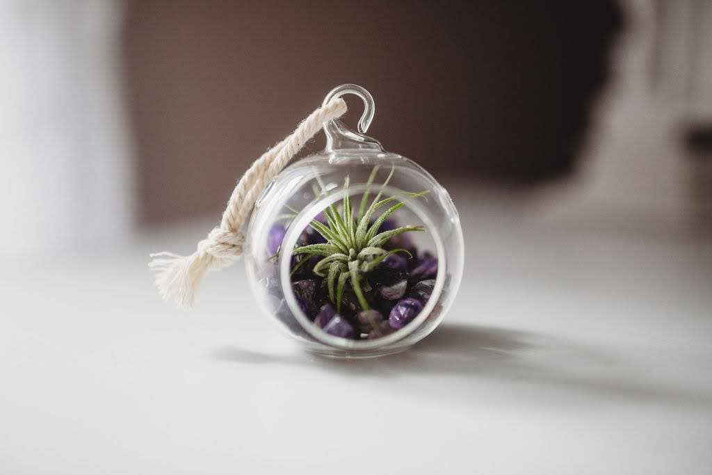 Mini Orb Air Plant Terrarium Kit - Semi-Precious Stone