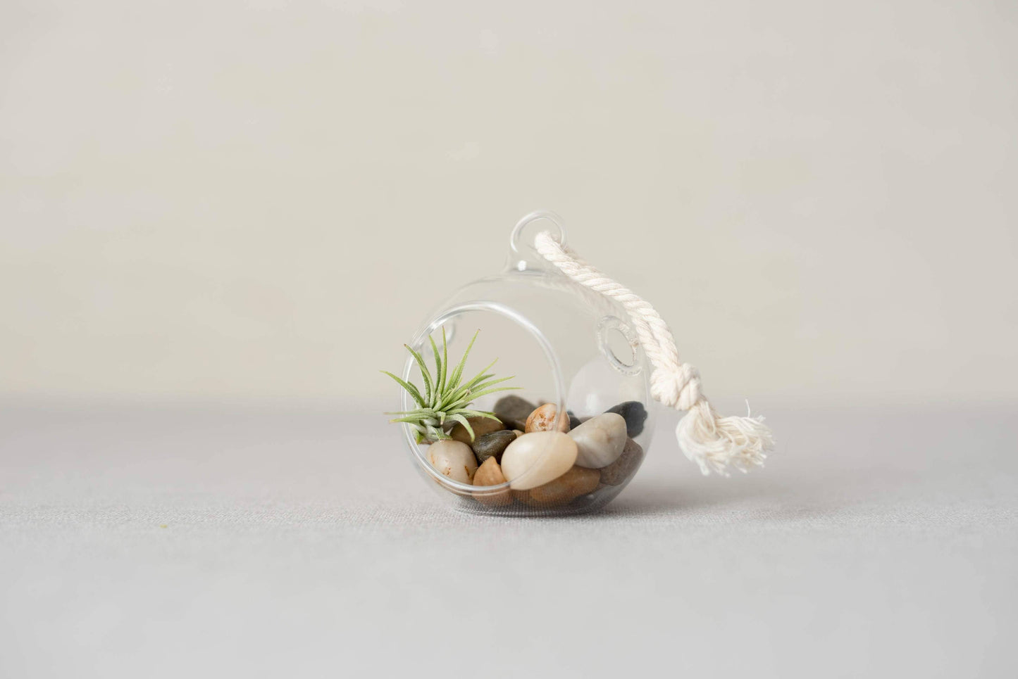 Mini Orb Air Plant Terrarium Kit - Semi-Precious Stone