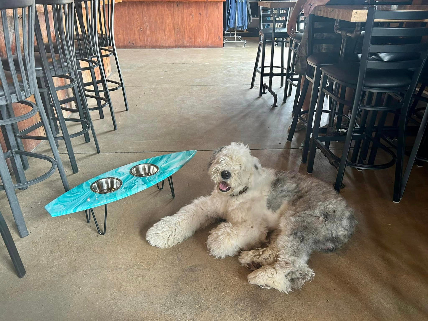 Surf Board Large Dog Bowls