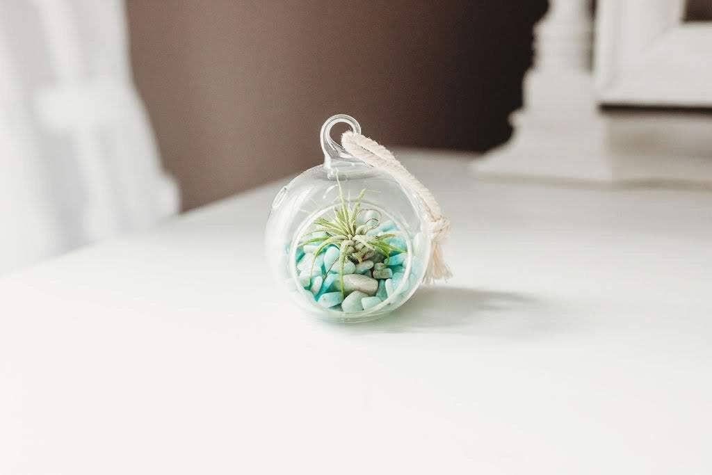 Mini Orb Air Plant Terrarium Kit - Semi-Precious Stone