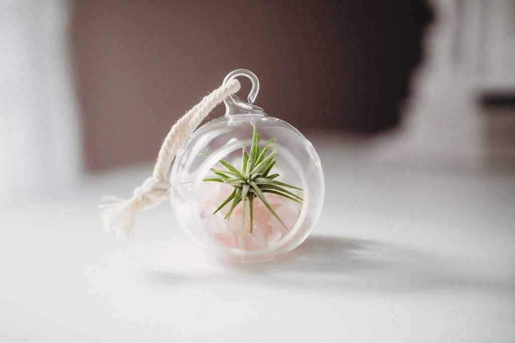 Mini Orb Air Plant Terrarium Kit - Semi-Precious Stone