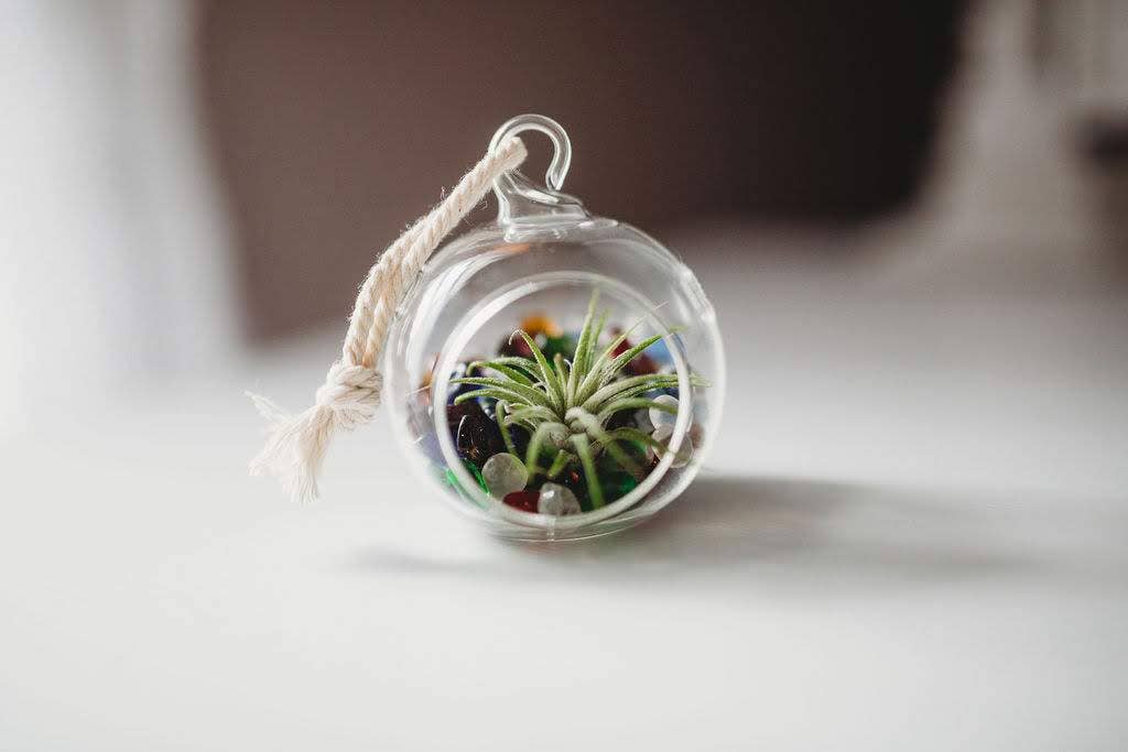 Mini Orb Air Plant Terrarium Kit - Semi-Precious Stone