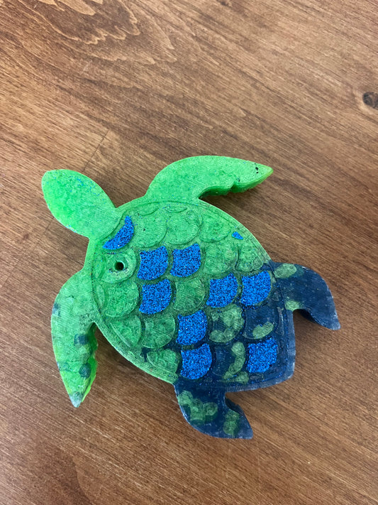 Sea Turtle-Coconut