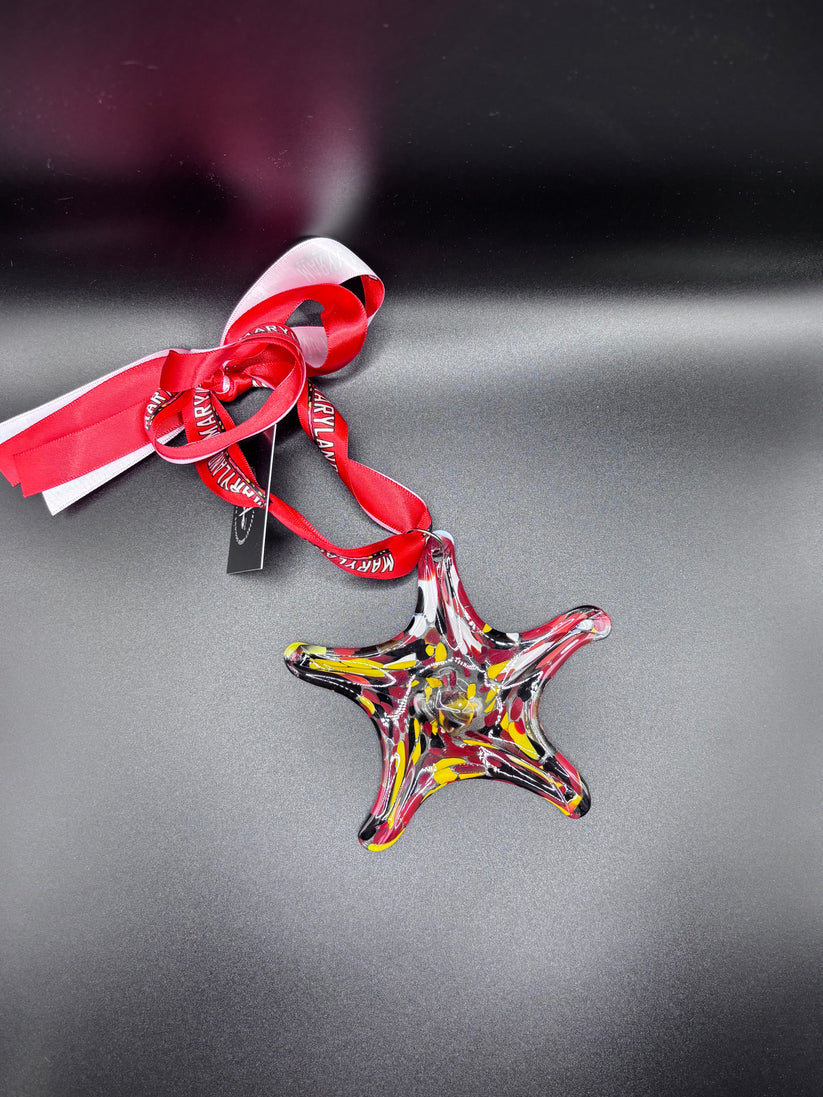 Hand blown glass ornaments and starfish