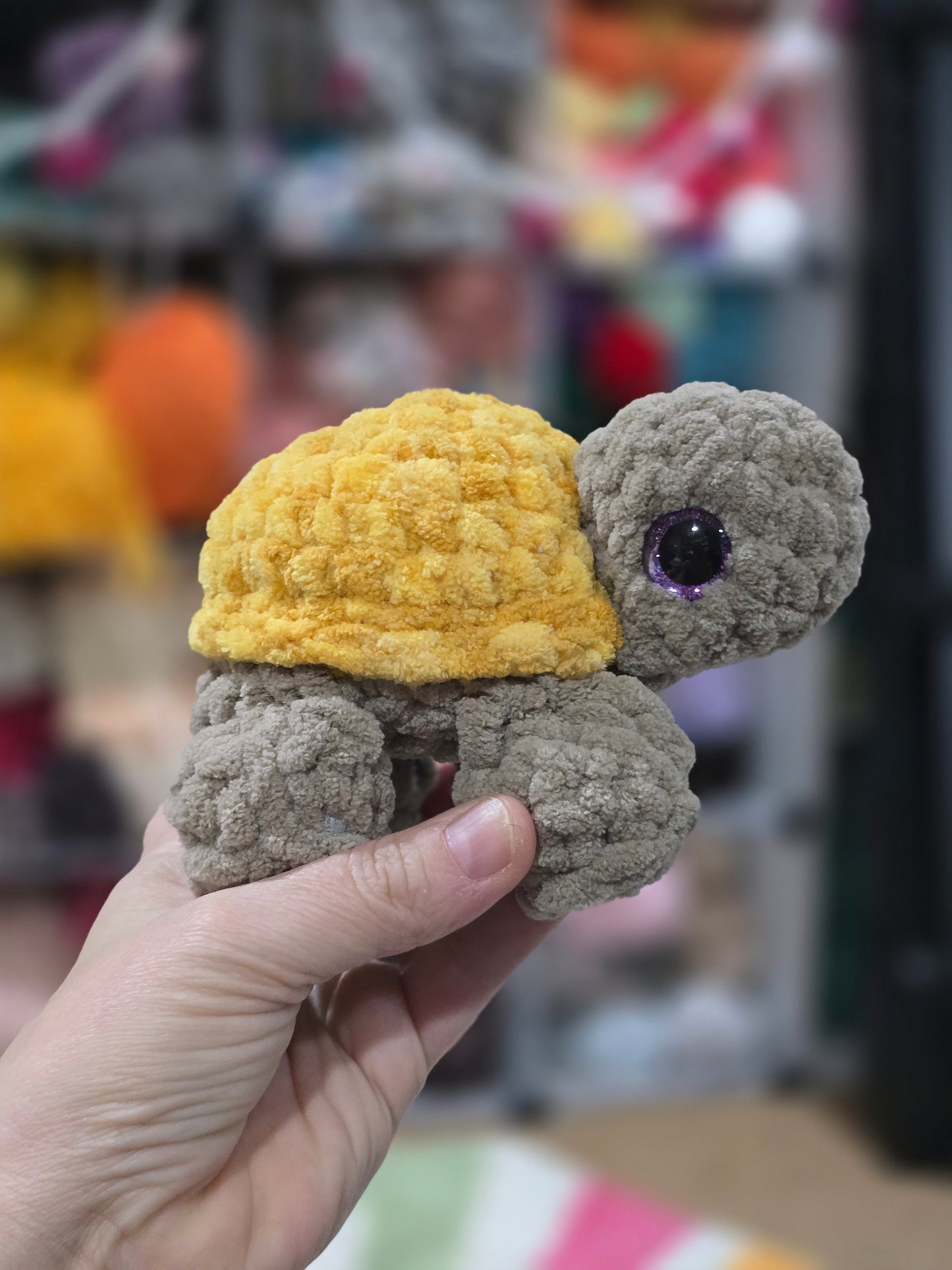 Sheldon the Turtle