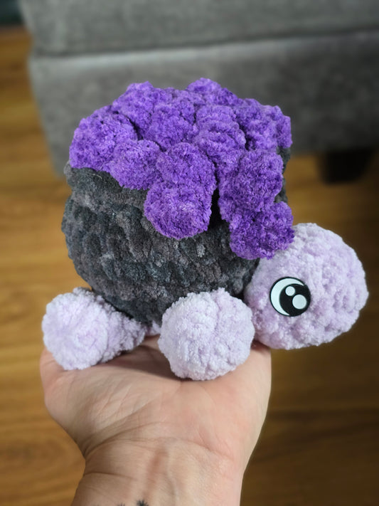Cauldron Turtle