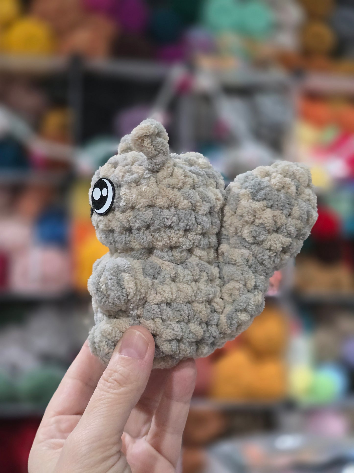 Pocket Squirrel