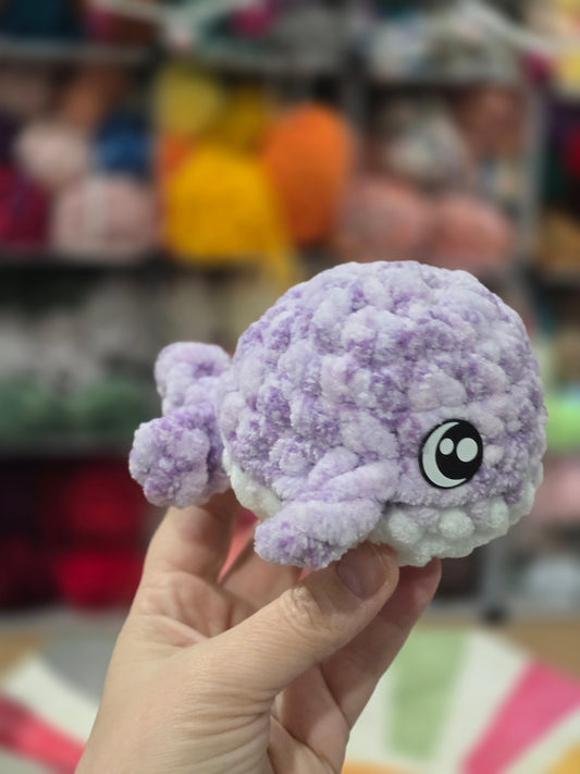 Small whale