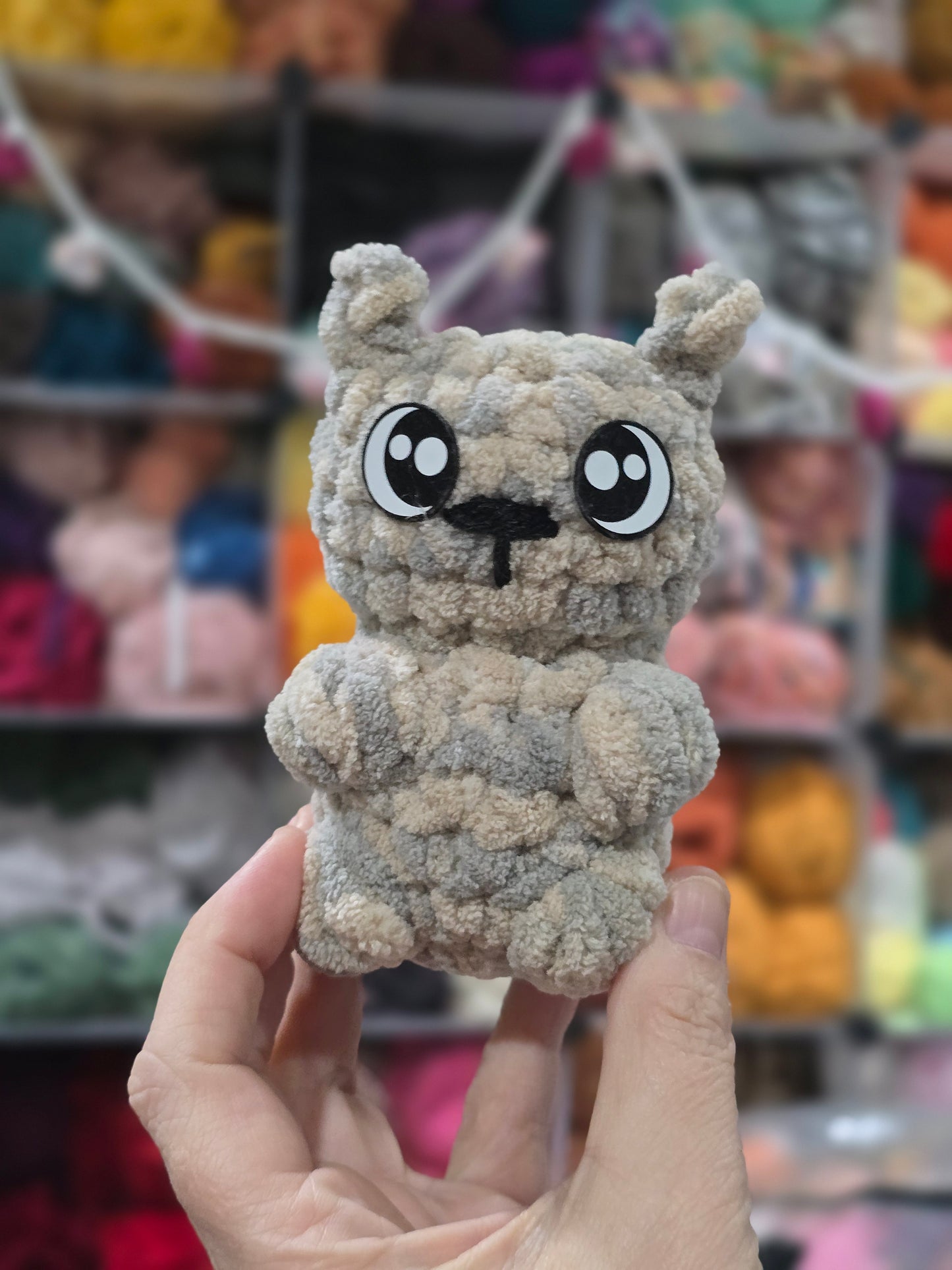 Pocket Squirrel