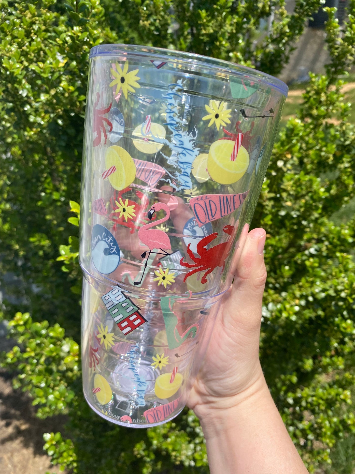 Tervis Cup