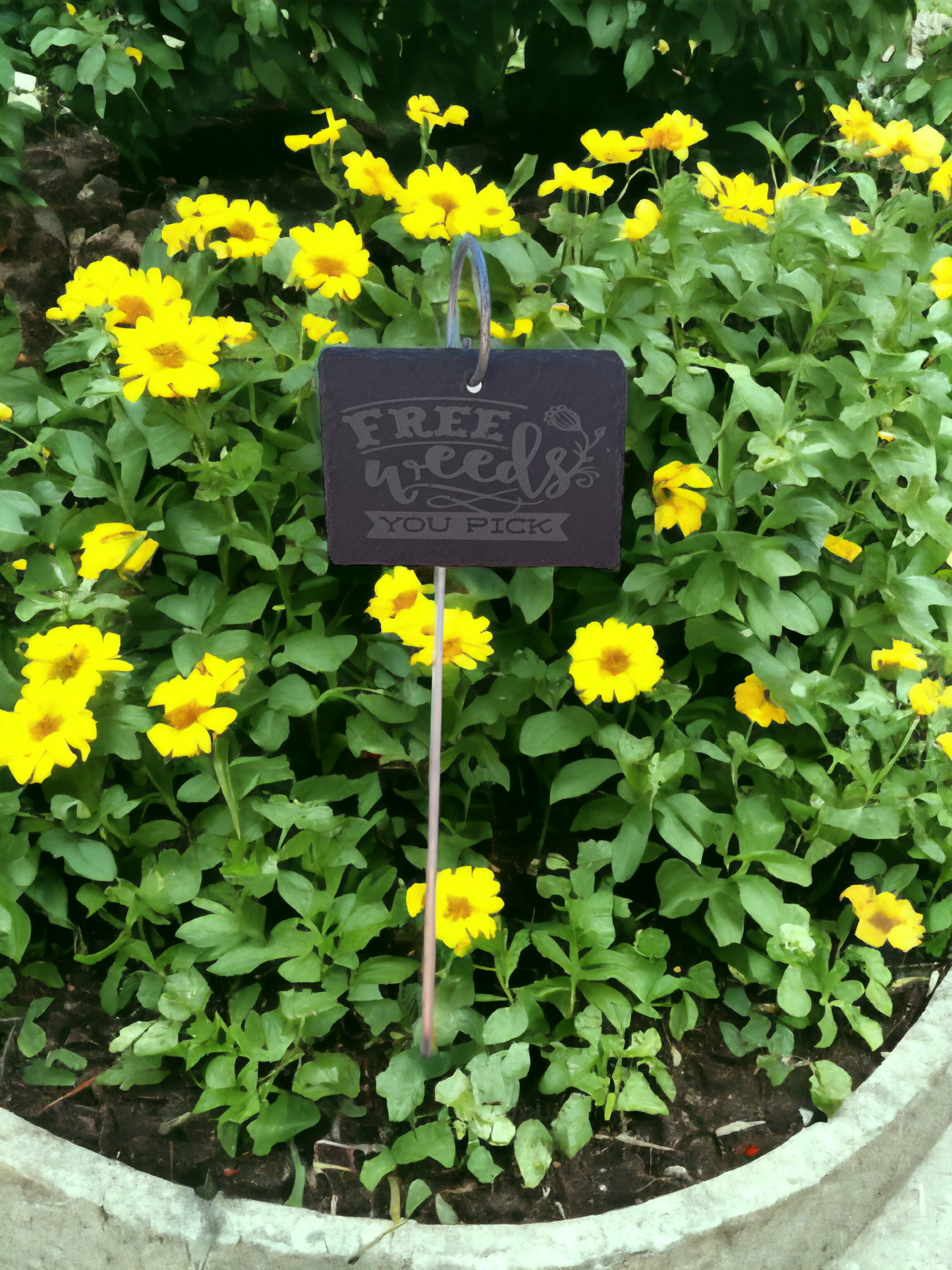 Free Weeds Slate Plant Marker